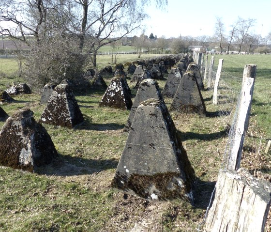 Höckerlinie bei Großkampenberg, © Ingrid Wirtzfeld, Tourist-Information Islek