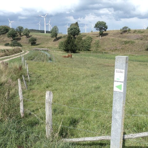 Westwall-Wanderweg bei Kesfeld, © Tourist-Information Islek