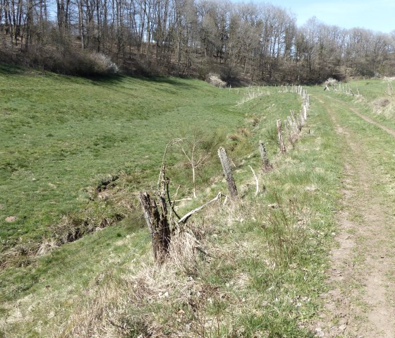 kleiner Bachlauf am Weg, © Tourist-Information Islek