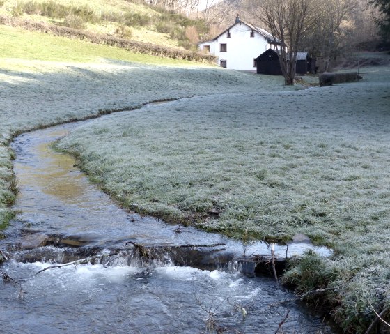 Steinkaulsmühle am Mühlbach bei Dahnen, © Tourist-Information Islek