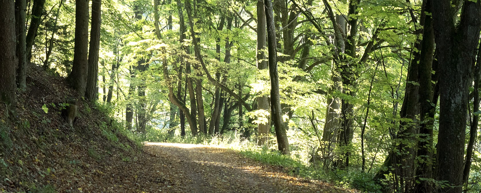 Im Mühlbachtal, © V. Teuschler