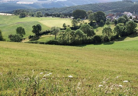 Blick auf Ringhuscheid, © C. Kempe