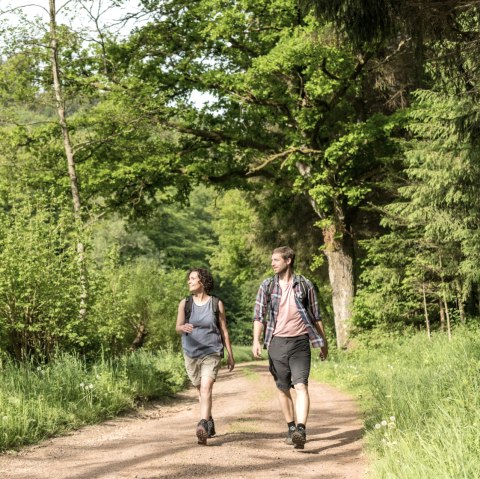 Wandertour durch den Wald, © Eifel Tourismus GmbH, D. Ketz