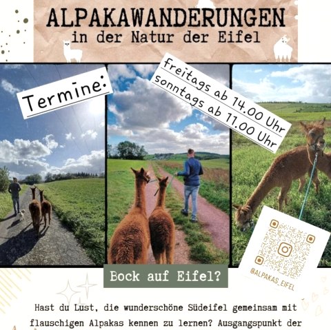 Alpaca wandeling