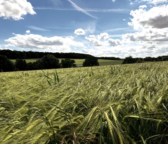 RWE-Route in Mötsch, © TI Bitburger Land