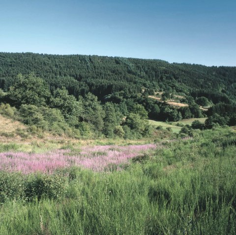 View of the Irsen Valley, © Eifel Tourismus GmbH, H.-J. Sittig