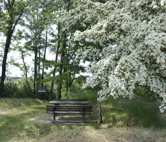 Schöner Rastplatz am Start- und Endpunkt der Strecke, © Tourist-Information Islek, I. Wirtzfeld