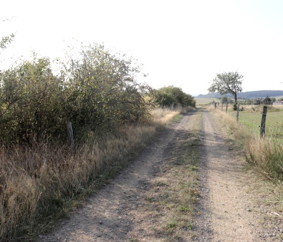 Wanderweg Nr. 2 bei Dahnen, © Tourist-Info Islek