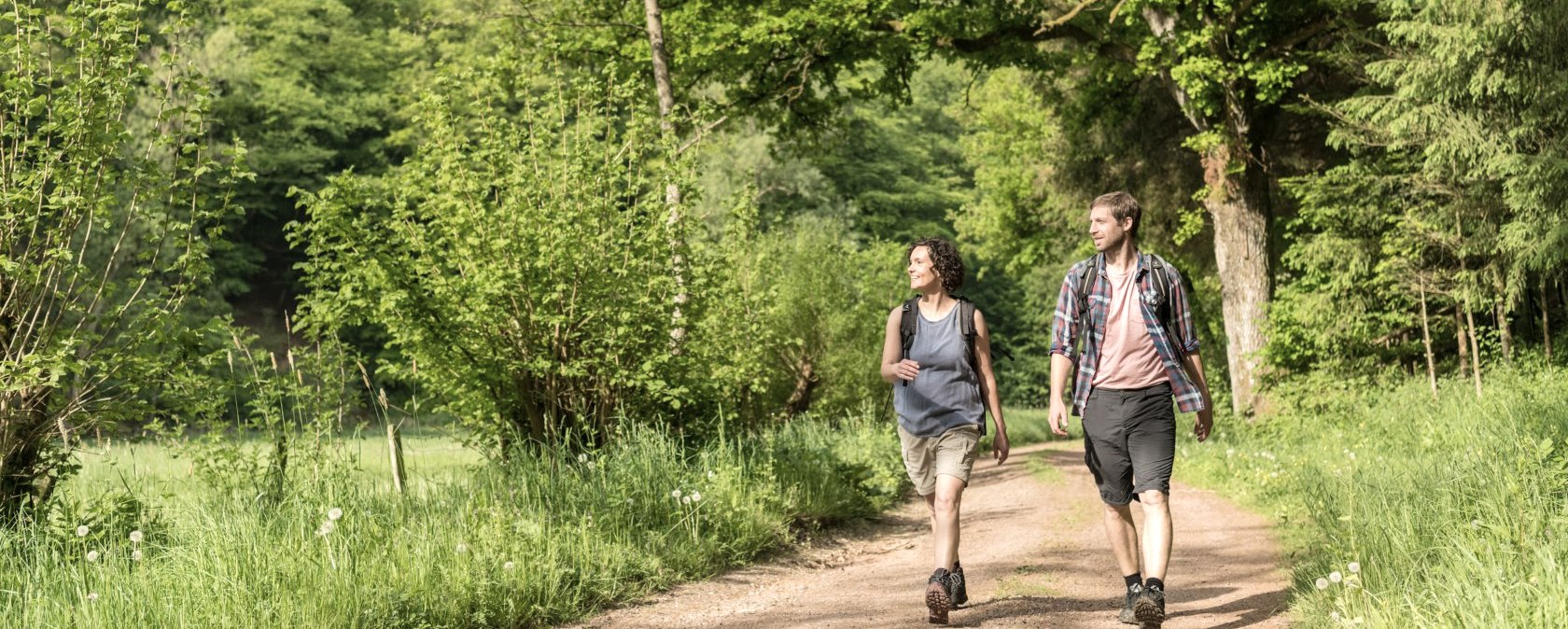 Hiking tour through the forest, © Eifel Tourismus GmbH, D. Ketz