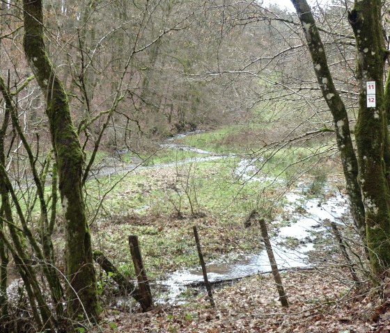 Bach am Wanderweg Nr. 11, © Tourist-Information Islek