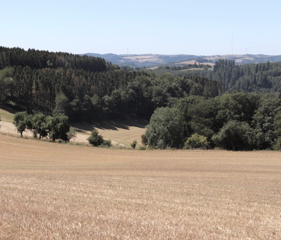 Wanderweg nr. 14 bei Jucken, © Tourist-Info Islek