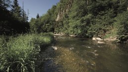 die Our im Sonnenschein, © ZV Naturpark Südeifel, Raymond Clement