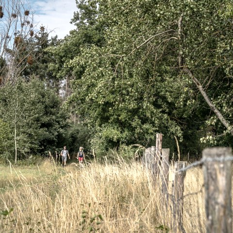 Drover Heide, © Dennis Stratmann | Kreis Düren