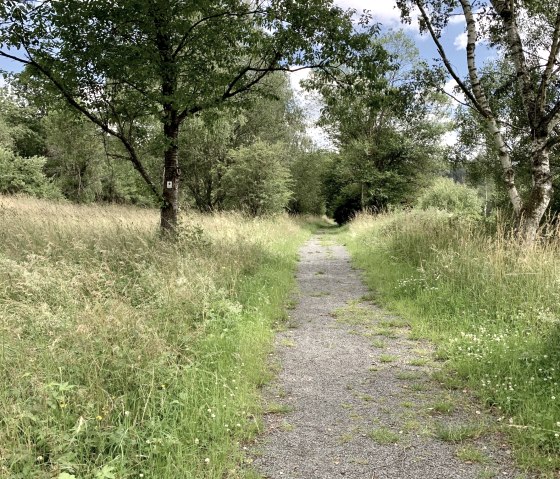 Komfort-Weg Stausee Irrhausen, © Naturpark Südeifel, Ansgar Dondelinger