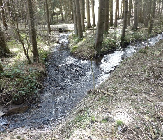 Kelsbach bei Euscheid, © Tourist-Information Islek