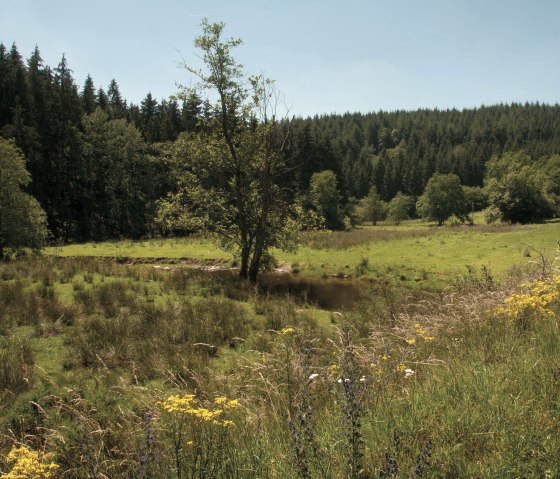 Naturpark Südeifel - Irsenpfad, © Joelle Mathias