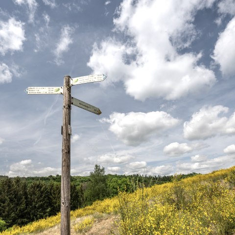 Wegweiser NaturWanderPark delux, © Eifel Tourismus GmbH, Dominik Ketz