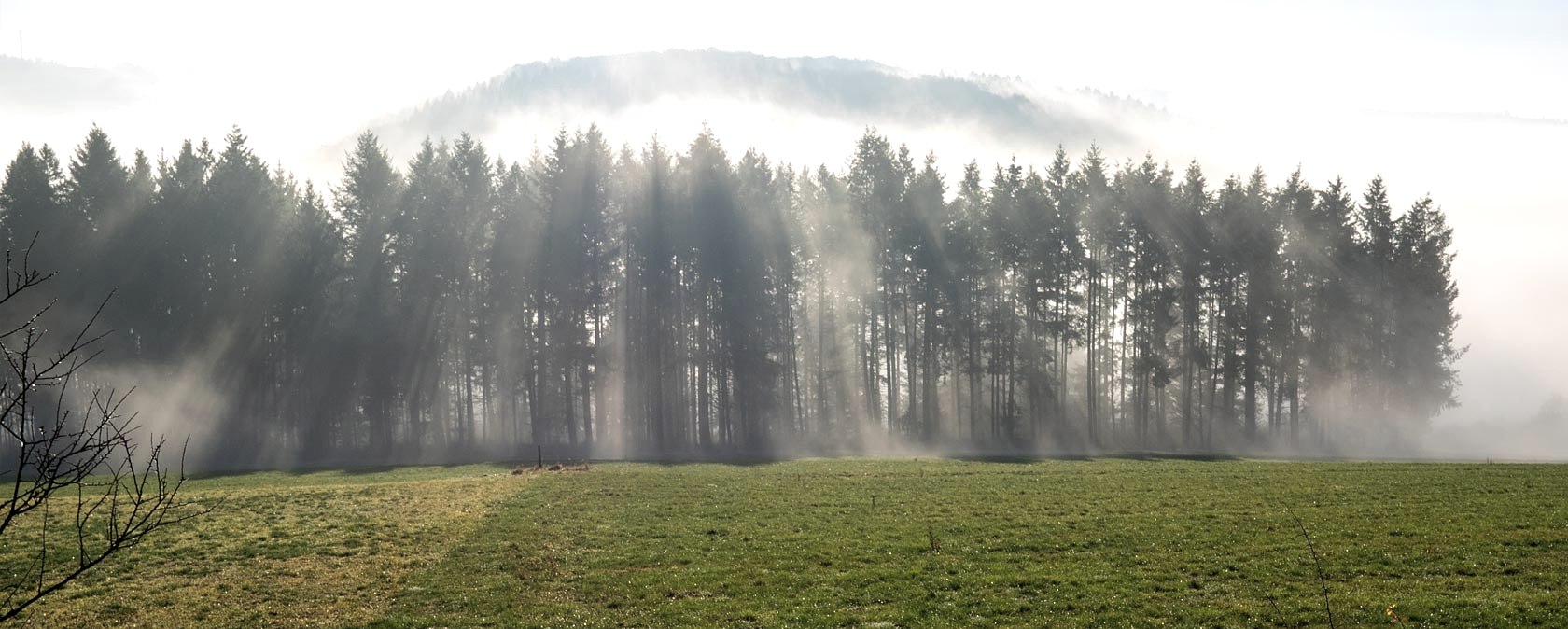 Morgennebel bei Reiff