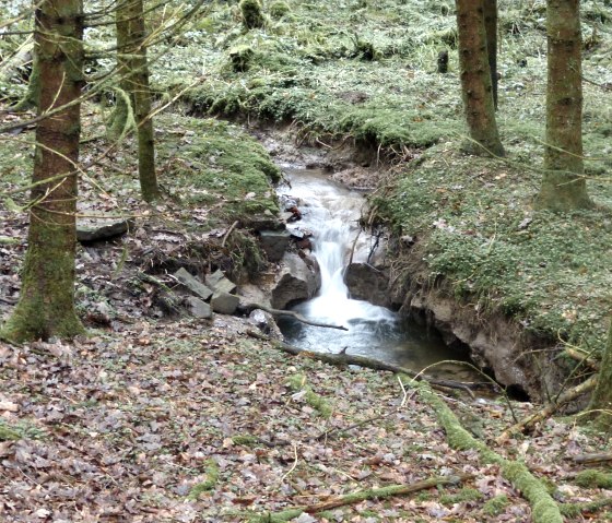 Bachlauf im Wald, © Tourist-Information Islek