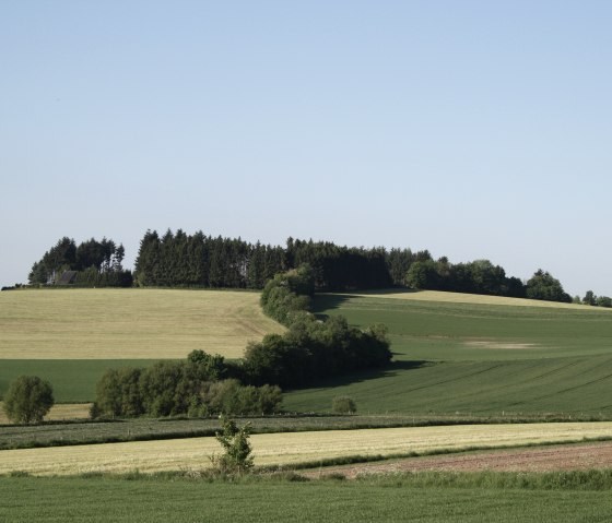 Landschaft am Wanderweg Nr. 15, © Tourist-Information Islek