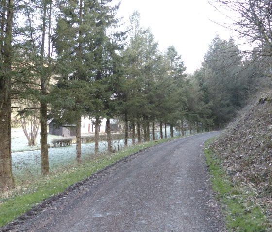 Waldweg entlang des Mühlbachs, © Tourist-Information Islek