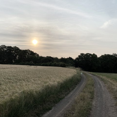 Wanderweg Olmscheid 2, © Ingo Kleis