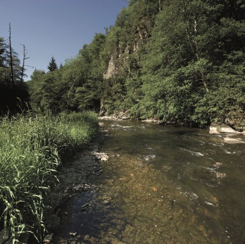 Die Our im Mittleren Ourtal, © Naturpark Südeifel, R. Clement