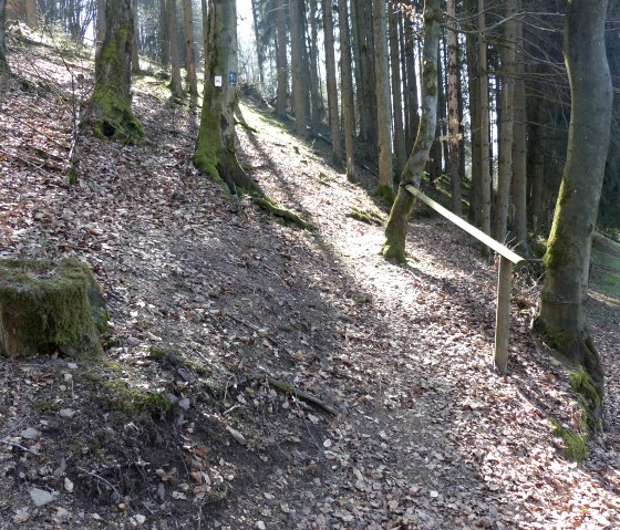 schmaler Pfad durch den Wald, © Tourist-Info Islek