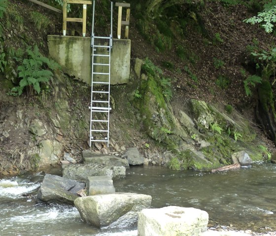 Trittsteine und Leiter zur Überquerung der Irsen, © Tourist-Information Islek