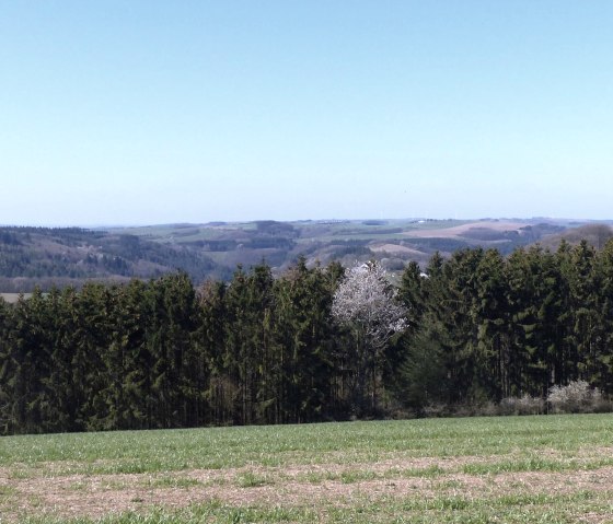 Fernblick über die Islekhöhen Richtung Süden, © Tourist-Information Islek