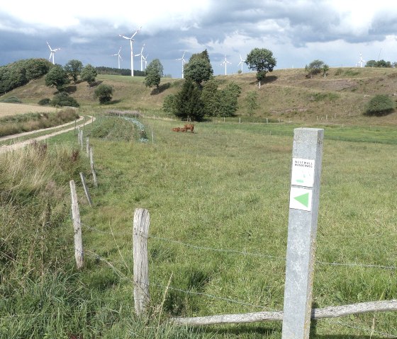 Westwall-Wanderweg bei Kesfeld, © Tourist-Information Islek