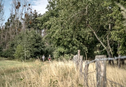 Drover Heide, © Dennis Stratmann | Kreis Düren