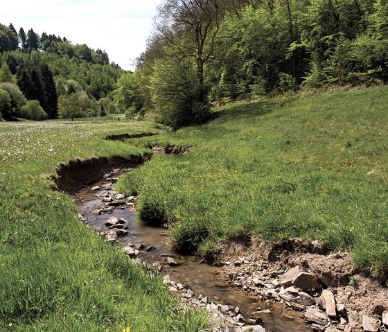 Naturpark Südeifel - Prümtalweg, © Pierre Haas