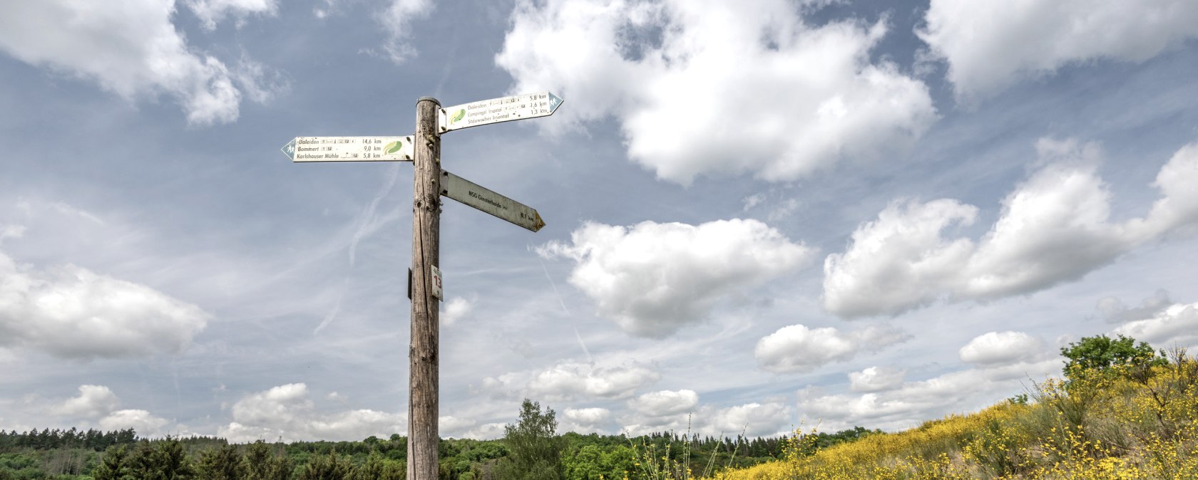 Wegweiser NaturWanderPark delux, © Eifel Tourismus GmbH, Dominik Ketz