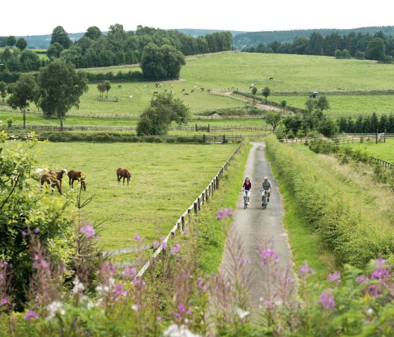 Radtour Eifel: Vennbahn, Wolfsbusch Montenau, © vennbahn.eu