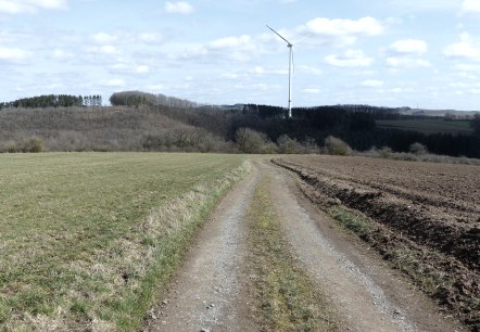 Spazierweg über die Felder, © Tourist-Information Islek