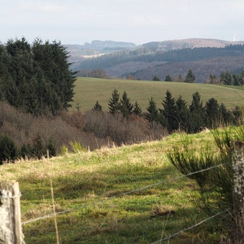 Eifelhöhen bei Arzfeld, © Volker Teuschler