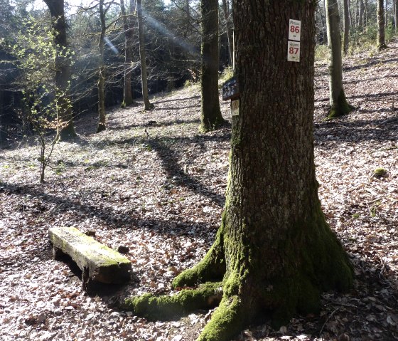 Ruhebank im Wald, © Tourist-Info Islek