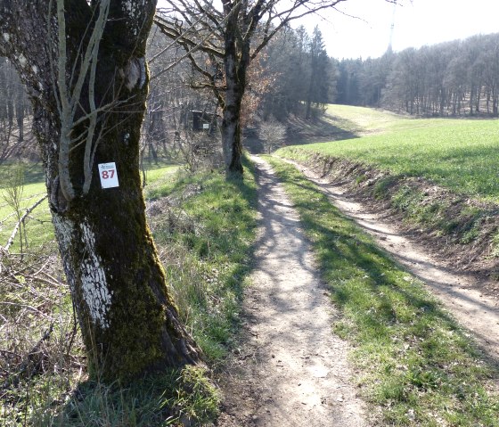 Wanderweg Nr. 87, © Tourist-Info Islek