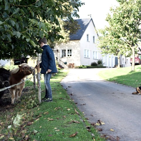 vacation on the farm, © Sinja Friedrich