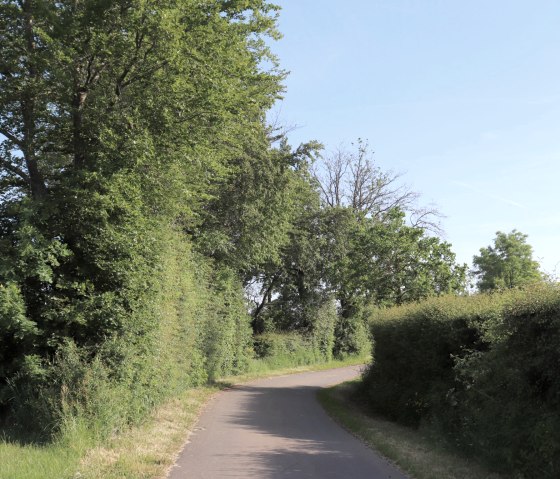 Weg am Rand von Großkampenberg, © Tourist-Information Islek