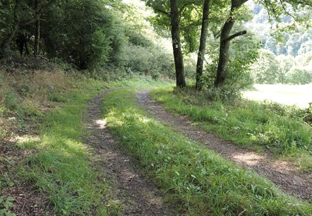 Wanderweg im Ourtal, © V. Teuschler