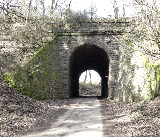 Tunnel unter dem Enz-Radweg, © Tourist-Information Islek