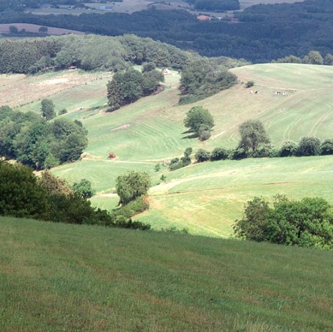 Eifelhöhen bei Plütscheid, © V. Teuschler