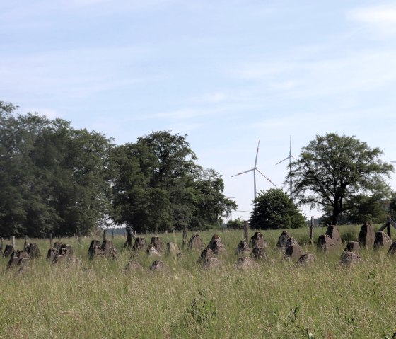 Höckerlinie an der L1 zwischen Großkampenberg und Kesfeld, © Tourist-Information Islek