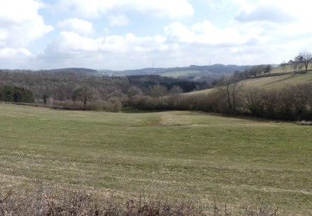 Fernblick bei Kinzenburg, Richtung Prümtal, © Tourist-Information Islek