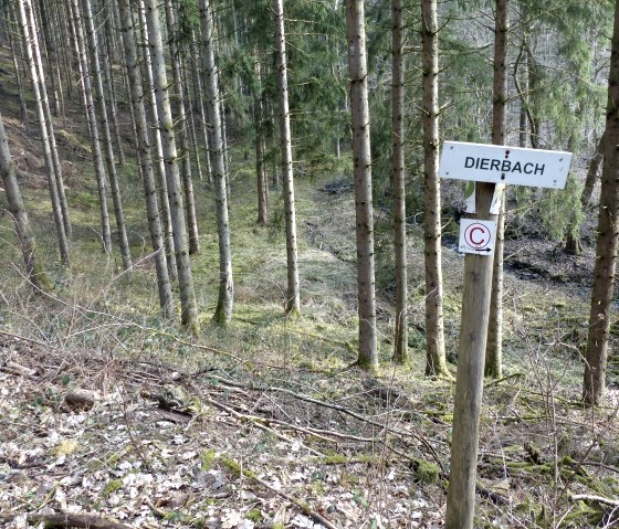 Waldpfad oberhalb des Dierbachs, © Tourist-Information Islek
