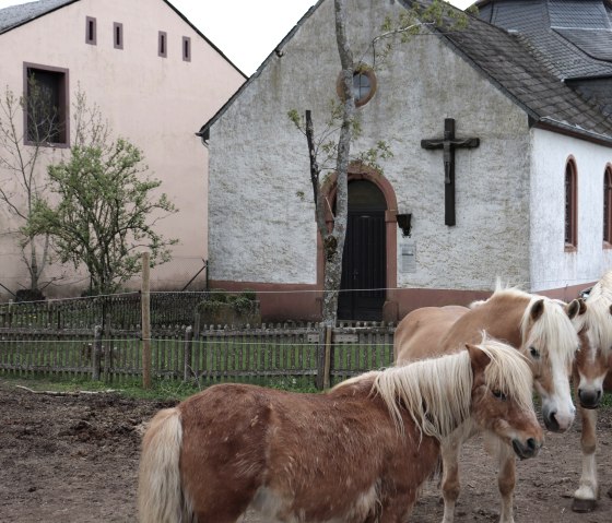 Pferde bei der Kapelle, © Tourist-Information Islek