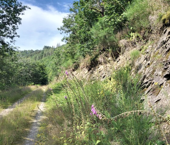 Schieferfelsen am Wanderweg, © Tourist-Information Islek