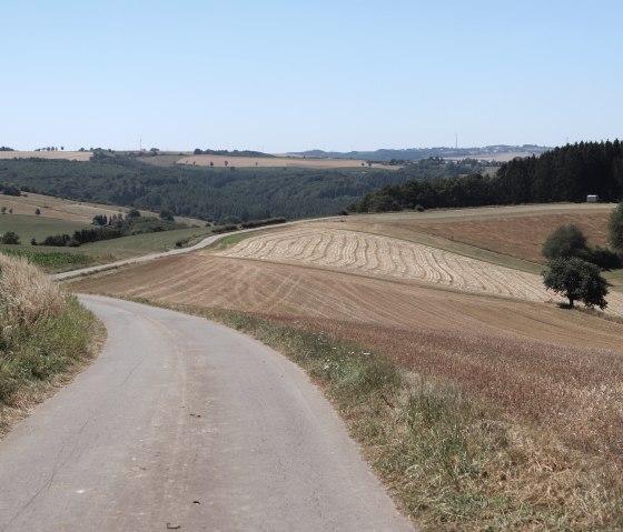 Wanderweg Nr. 14 bei Jucken, © Tourist-Info Islek